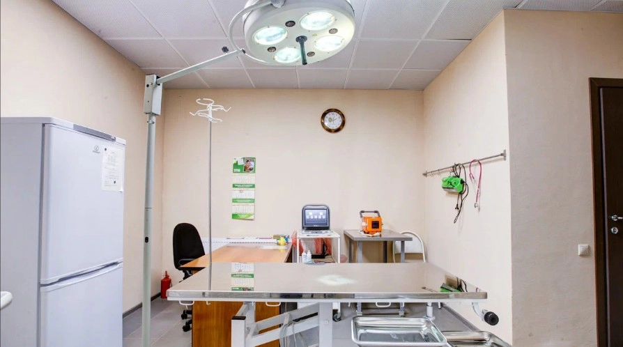 Ветеринарная клиника Тим в Москве: Хирургия, Орнитолог, Стрижка, Животные,