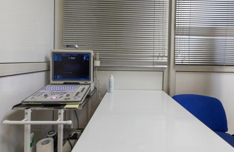 Ветеринарная клиника Тим в Москве: Хирургия, Орнитолог, Стрижка, Животные,