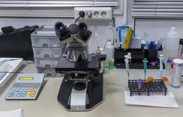 Ветеринарная клиника Тим в Москве: Хирургия, Орнитолог, Стрижка, Животные,