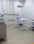 Миниатюра 4