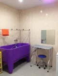Миниатюра 7