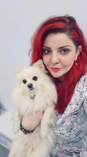 Ветеринарная клиника Котовет в Москве: УЗИ, Рентген, Орнитолог, Вакцинация, Стерилизация , Чипирование, Стоматология,