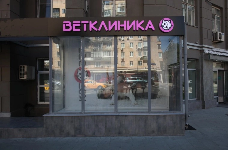 Ветеринарная клиника Котовет в Москве: УЗИ, Рентген, Орнитолог, Вакцинация, Стерилизация , Чипирование, Стоматология,