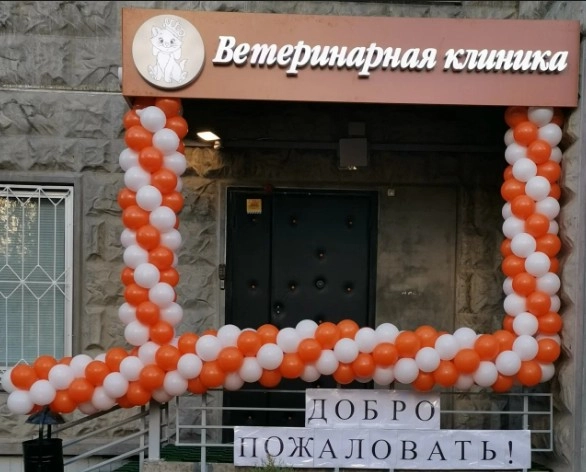 Ветеринарные клиники Ваше ворсейшество в Москве: УЗИ, Рентген, Орнитолог, Вакцинация, Стерилизация , Стоматологические услуги, Неврология, Стационар,