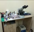 Миниатюра 11