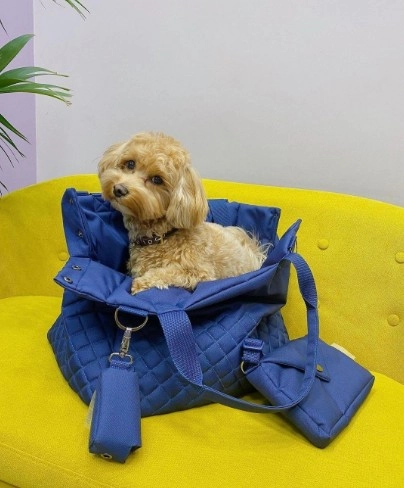 Зоосалон Mishka groom в Москве: Стрижка, Чистка зубов, Груминг, Уход за животными, Озонотерапия ,