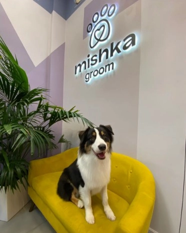 Зоосалон Mishka groom в Москве: Стрижка, Чистка зубов, Груминг, Уход за животными, Озонотерапия ,