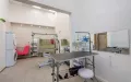 Миниатюра 8
