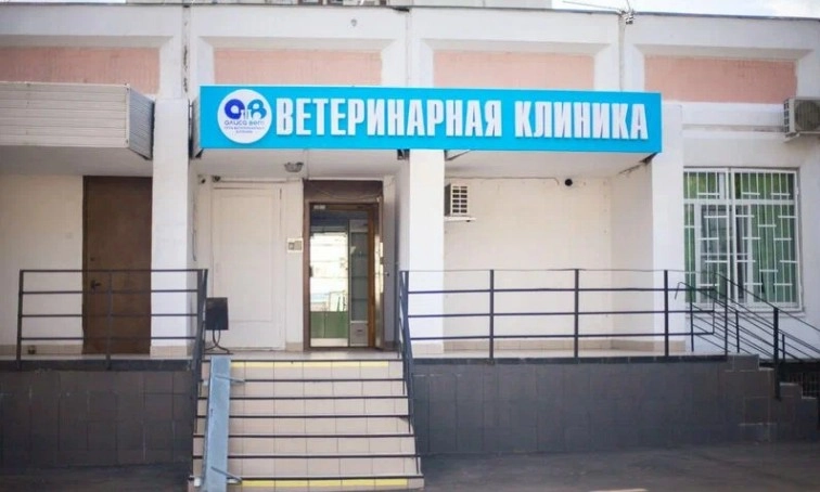 Ветеринарная клиника Алисавет в Москве: УЗИ, Рентген, Орнитолог, Вакцинация, Стерилизация , Стоматологические услуги, Неврология,