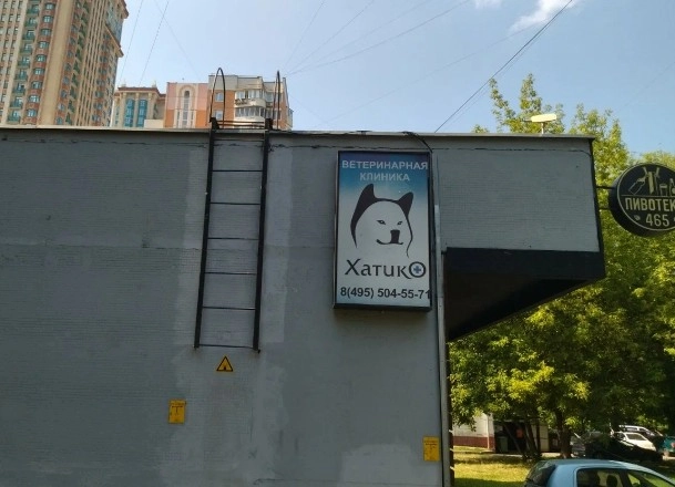 Ветеринарная клиника Хатико в Москве: Ратолог, Хирургия, Онлайн-услуги, ЭХОкг сердца, УЗ - чистка зубов, Чипирование, УЗИ,