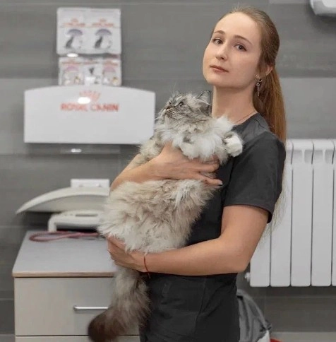 Ветеринарная клиника CatWell в Москве: Вызов на дом, Зоотовары, ЭХОкг сердца, Стерилизация , Вакцинация, Груминг, Стоматология, УЗИ,