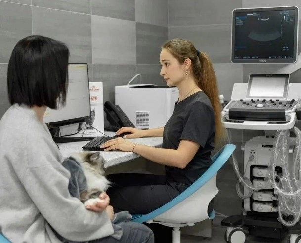 Ветеринарная клиника CatWell в Москве: Вызов на дом, Зоотовары, ЭХОкг сердца, Стерилизация , Вакцинация, Груминг, Стоматология, УЗИ,