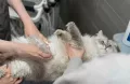 Миниатюра 12