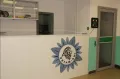 Миниатюра 13