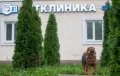 Миниатюра 3