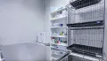 Миниатюра 14