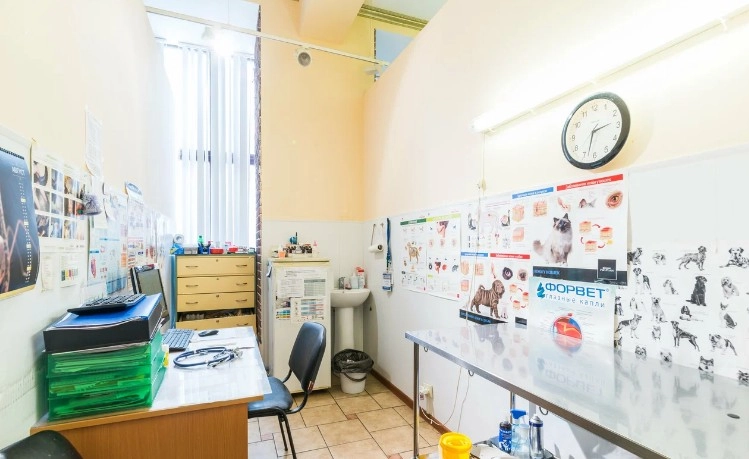 Ветеринарная клиника Орикс в Москве: Рентген, Онлайн-услуги, ЭХОкг сердца, Стерилизация , Чипирование, Оксигенотерапия, Стоматология, Вакцинация,