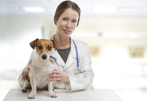 Большое фото 6