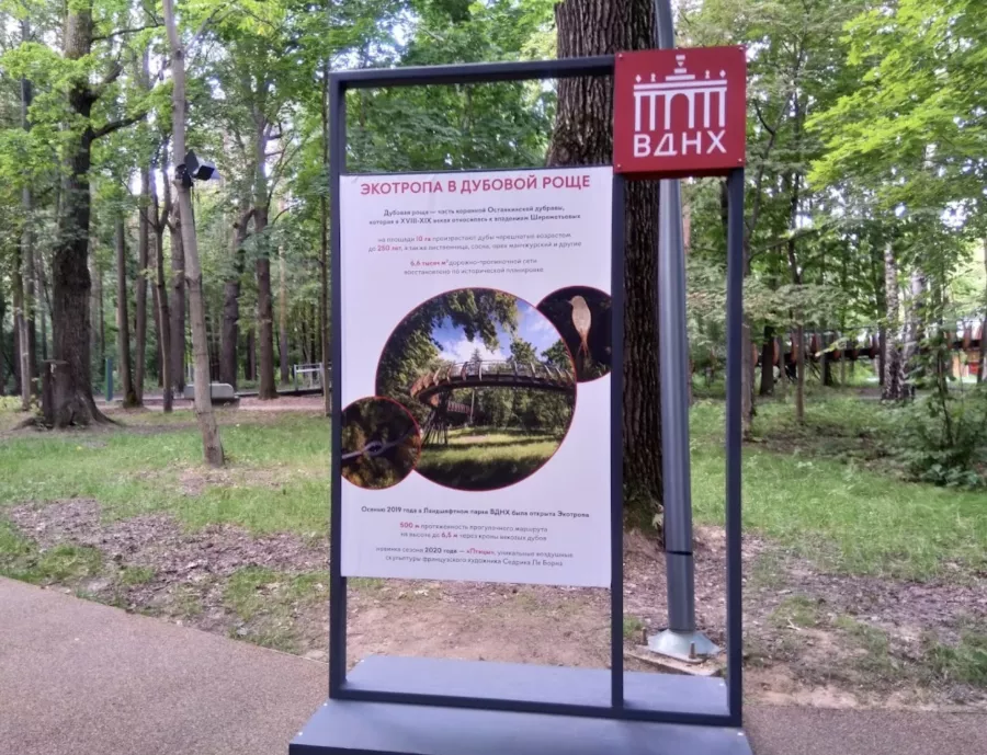 Воздушная экотропа в Дубовой Роще в Москве: Экотропа, Природа, Парк, Сад, Где погулять,