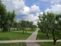 Миниатюра 9