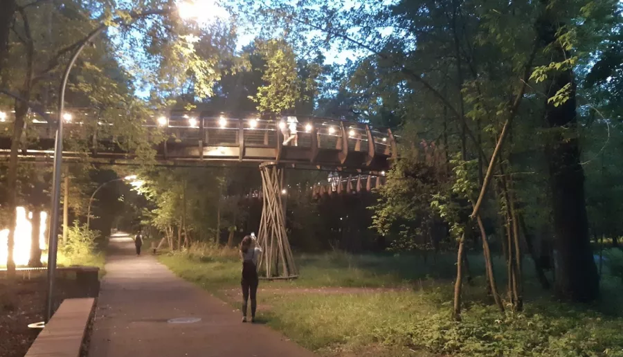 Воздушная экотропа в Дубовой Роще в Москве: Экотропа, Природа, Парк, Сад, Где погулять,