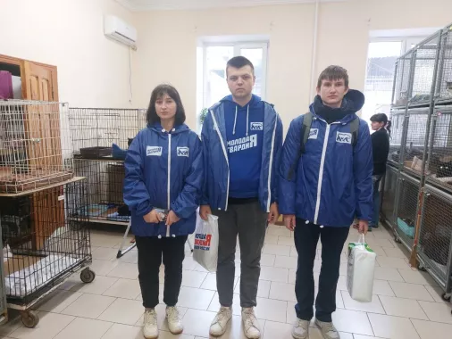 "Центр безнадзорных животных".