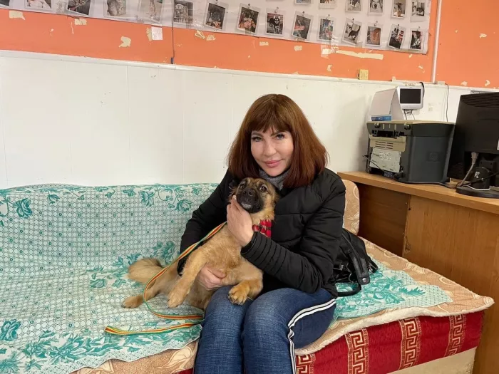 "Центр безнадзорных животных".