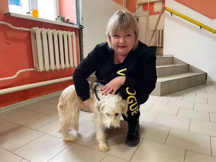 "Центр безнадзорных животных".