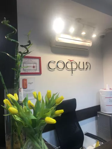 Салон-парикмахерская София  во  Владивостоке