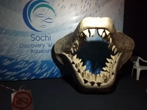 Океанариум Sochi Discovery World Aquarium  в  Сочи