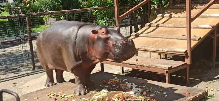 "Аквариум & Морской зоопарк".