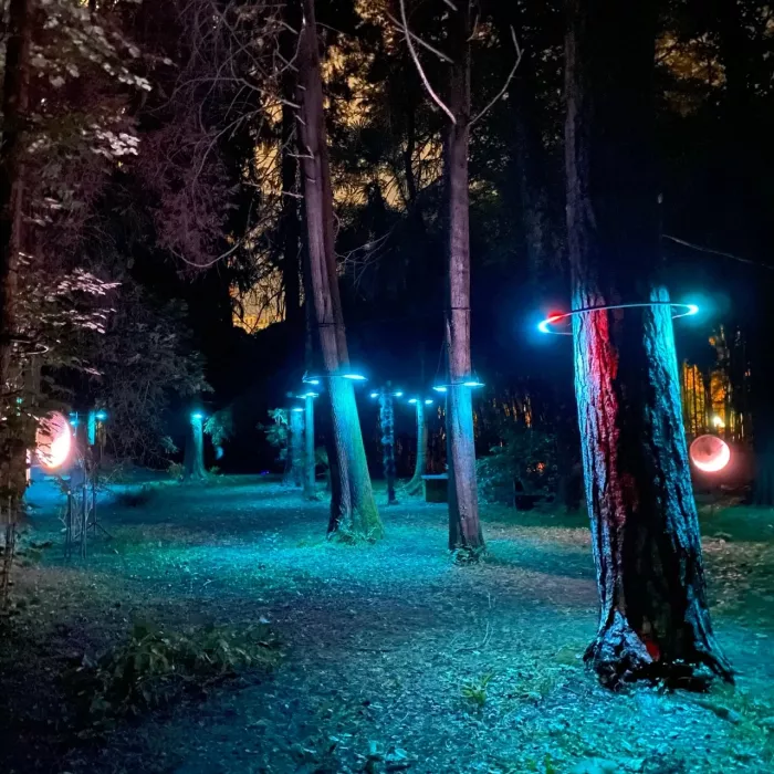 Дендрарий "Южные ворота".