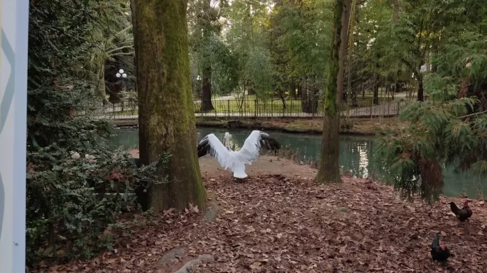 Дендрарий "Южные ворота".