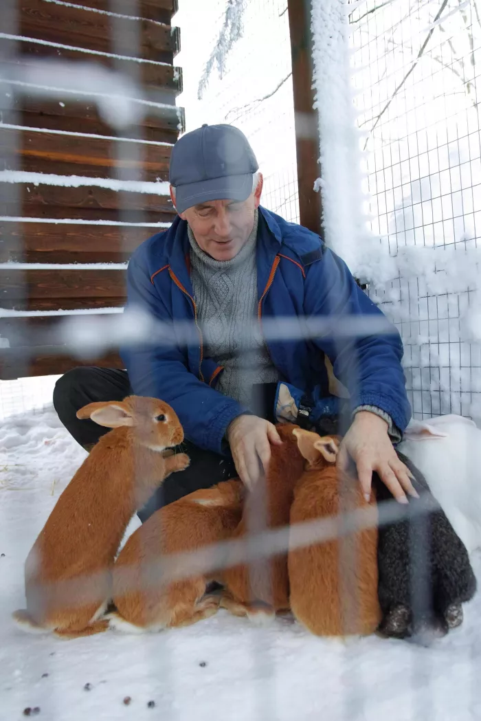 Зооподворье "Лапки".