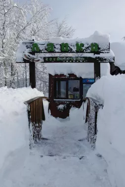 Зооподворье "Лапки".