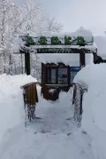 Миниатюра 4
