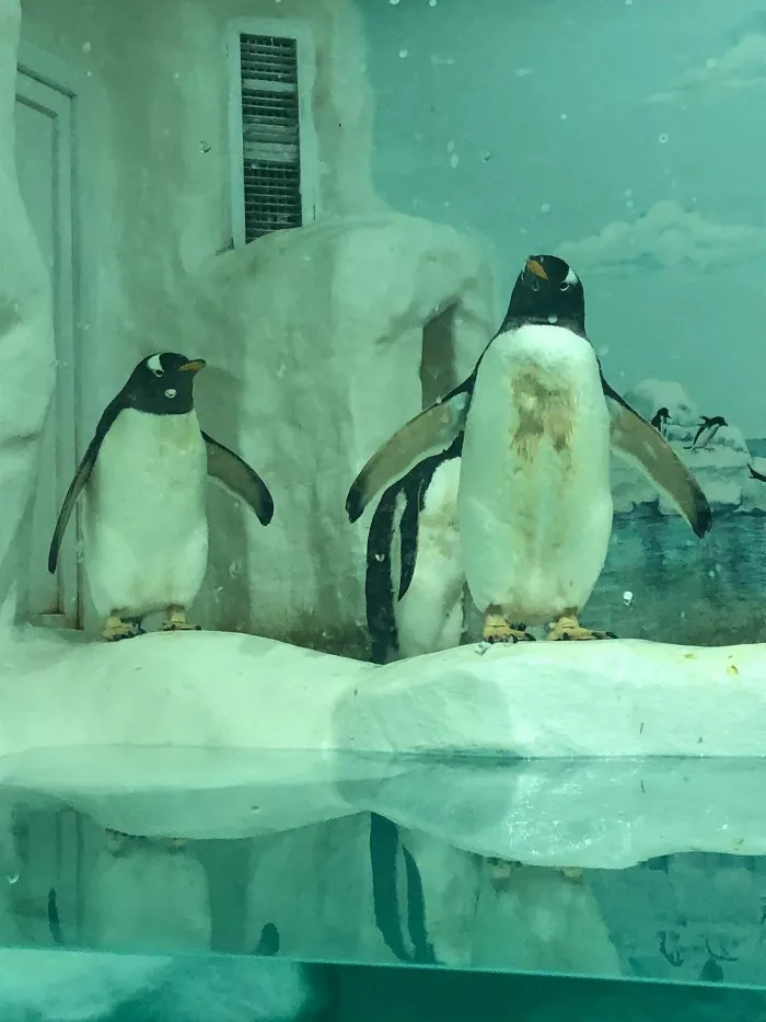 Океанариум "Тропическая Амазонка".