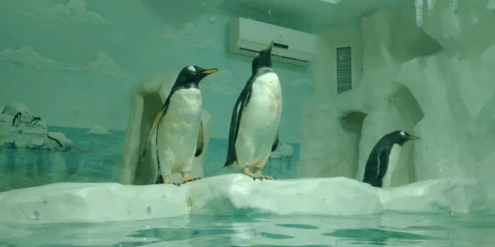 Океанариум "Тропическая Амазонка".