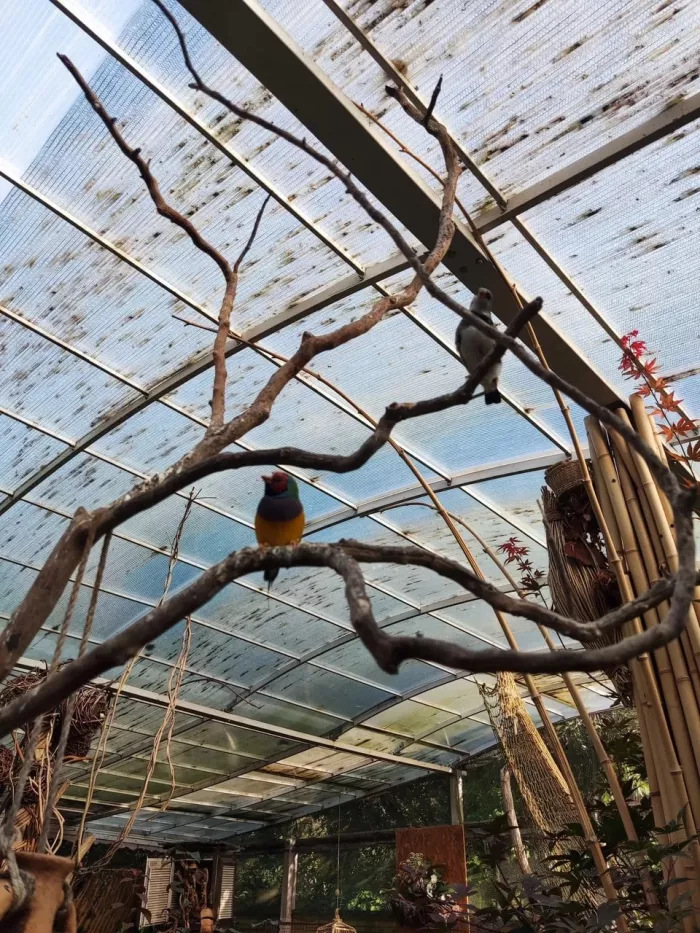 "Орнитариум".