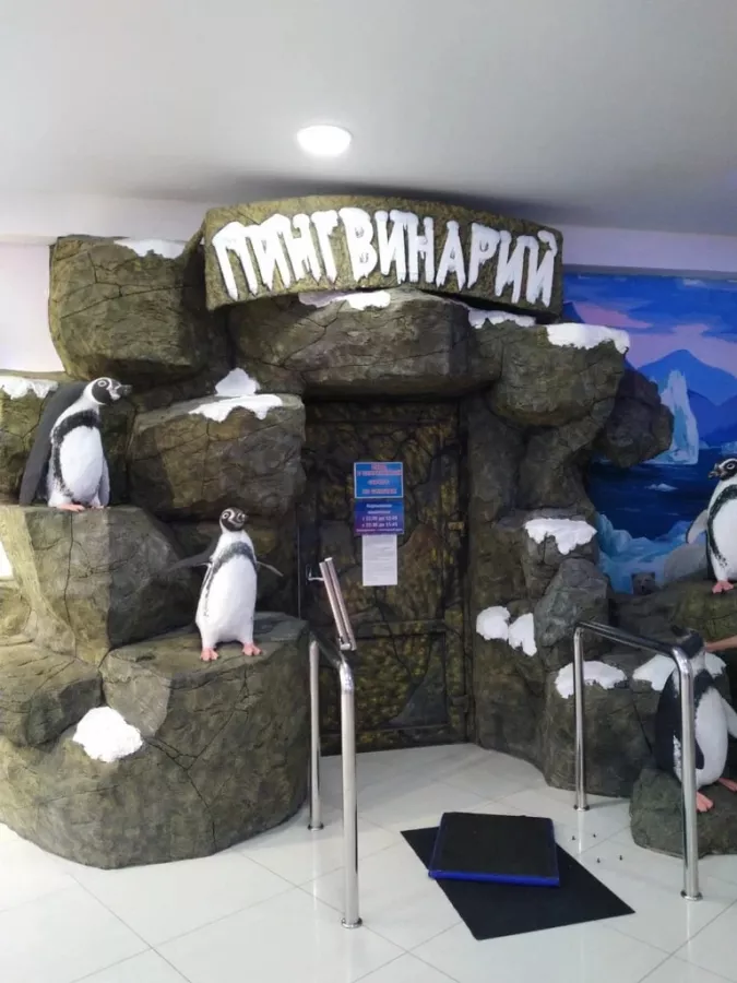 Зоопарк Пингвинарий в Сочи: Зоопарк, Звери, Пингвины, Тюлени, Морские Котики,
