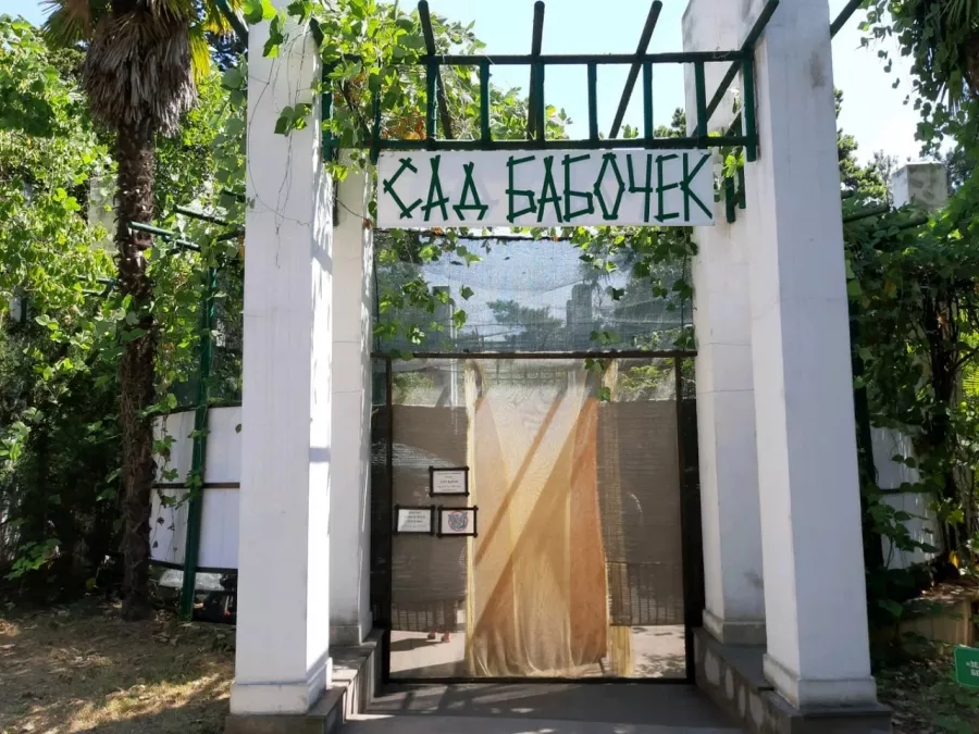 Зоопарк Сад бабочек в Сочи: Зоопарк, Сад, Бабочки, Гусеницы, Насекомые,