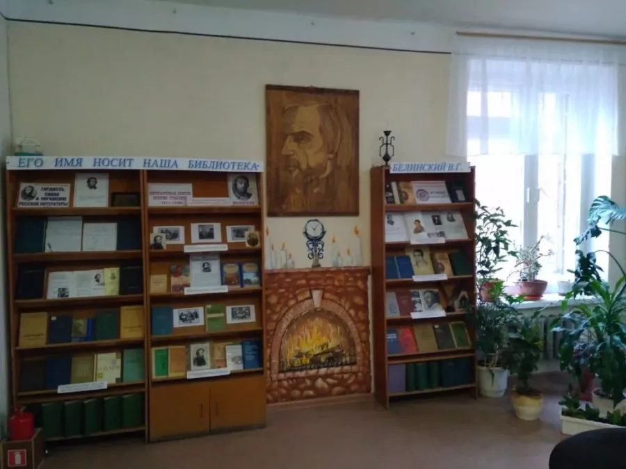 Библиотека им. В.Г. Белинского в Ростове-на-Дону: Библиотека, Читать, Книги, Журналы, Book,
