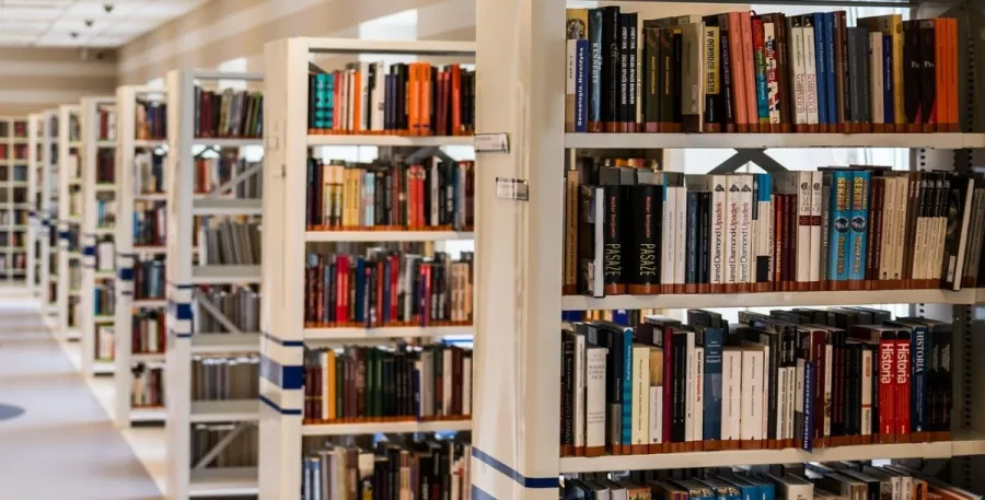 Библиотека им. С. А. Есенина в Ростове-на-Дону: Библиотека, Книги, Журналы, Чтение, Хобби,