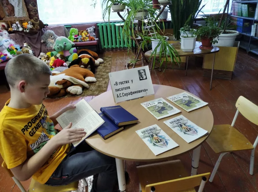 Библиотека имени А. Серафимовича в Ростове-на-Дону: Библиотека, Книги, Журналы, Чтение, Хобби,