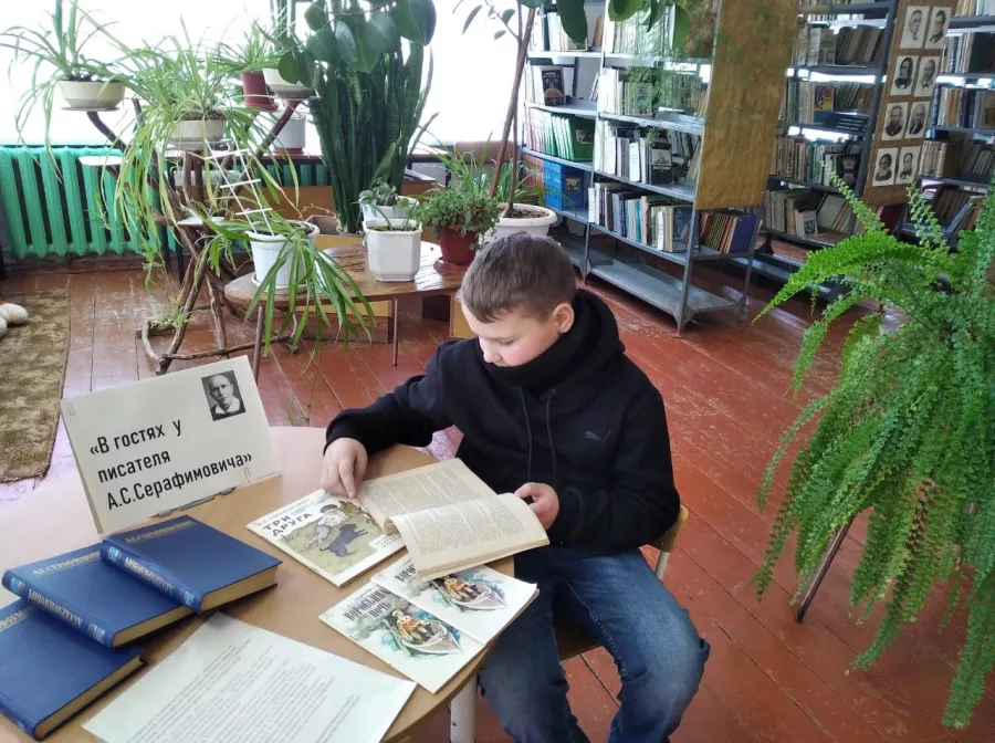 Библиотека имени А. Серафимовича в Ростове-на-Дону: Библиотека, Книги, Журналы, Чтение, Хобби,