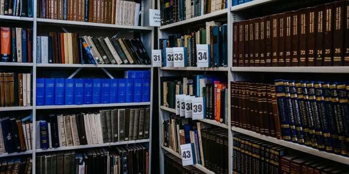 Детская библиотека имени В.В. Маяковского  в  Ростове-на-Дону