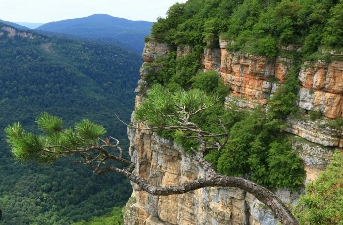 Гостевой дом "Лесной".