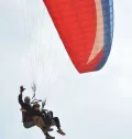 Миниатюра 9