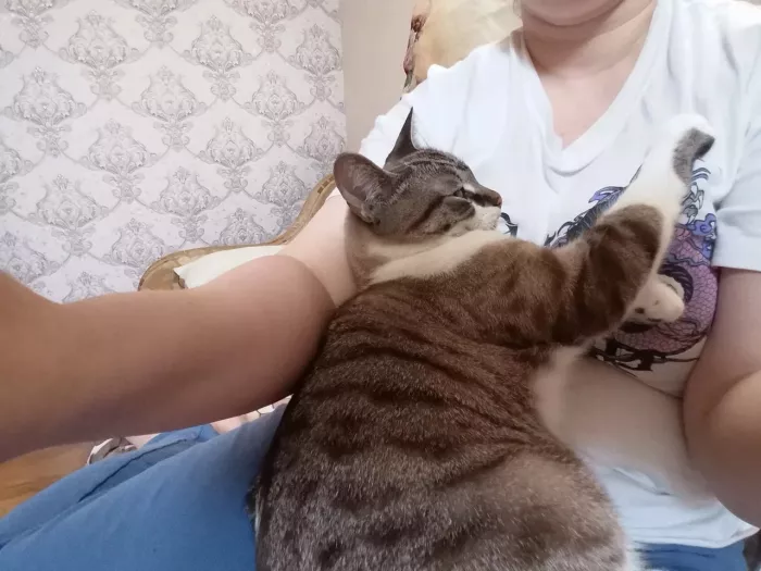 Гостиница для животных "Как дома".