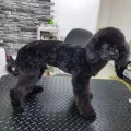 Миниатюра 8